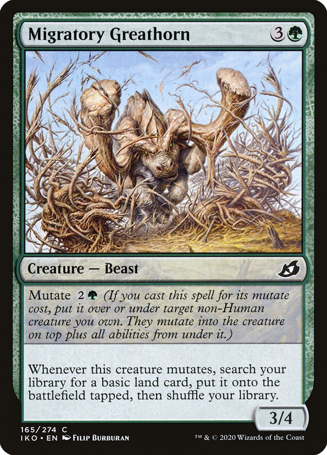 Migratory Greathorn (IKO) (165)