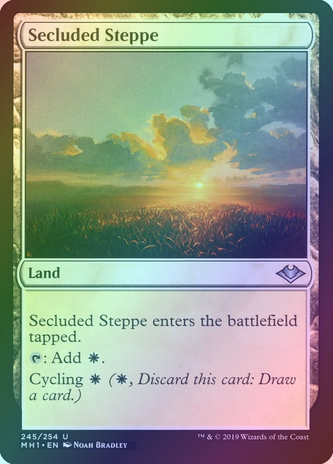 Secluded Steppe (MH1) (245) / Foil