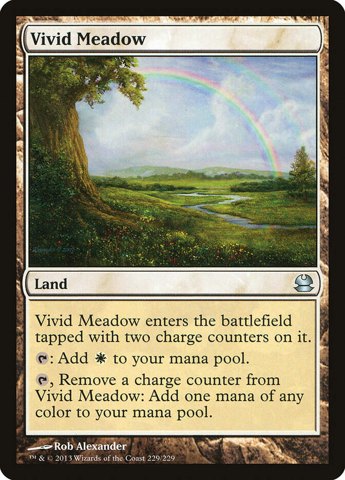 Vivid Meadow (MMA) (229)
