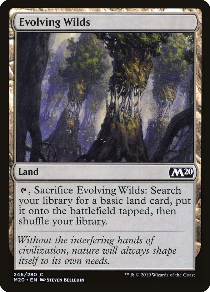 Evolving Wilds (M20) (246)