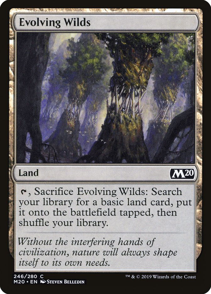 Evolving Wilds (M20) (246)