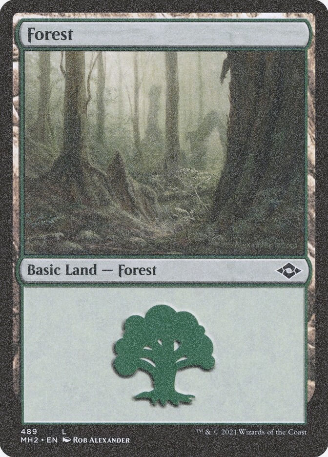 Forest (MH2) (489) / Foil Etched