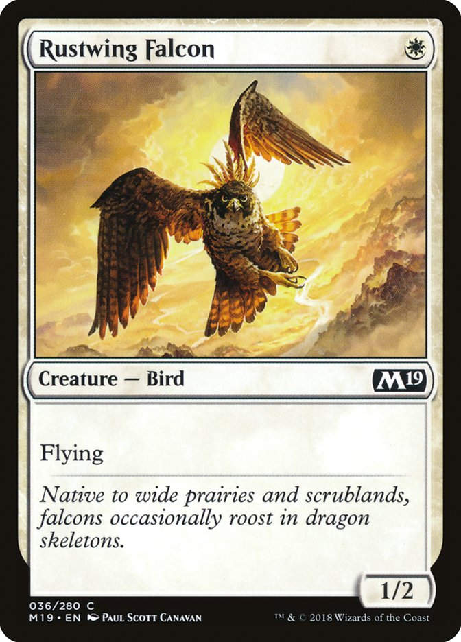 Rustwing Falcon (M19) (36)