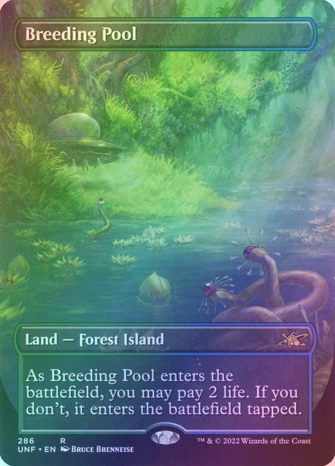 Breeding Pool (UNF) (286) / Borderless / Foil