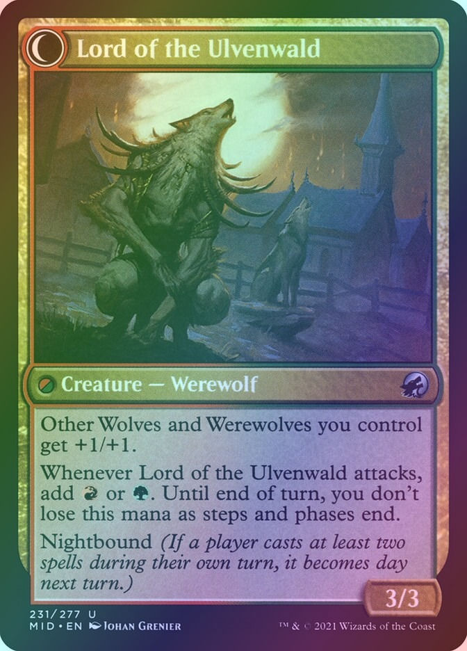 Kessig Naturalist // Lord of the Ulvenwald (MID) (231) / Foil — cara 2 de 2