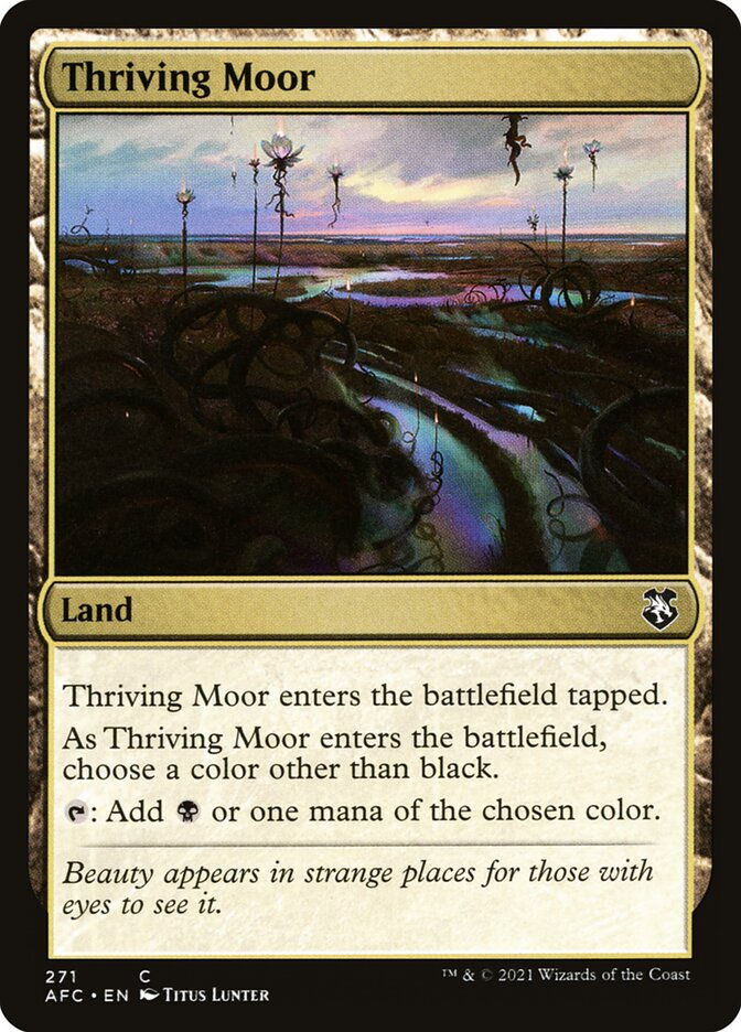 Thriving Moor (AFC) (271)