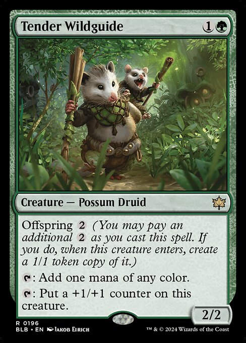 Tender Wildguide (blb) (196)