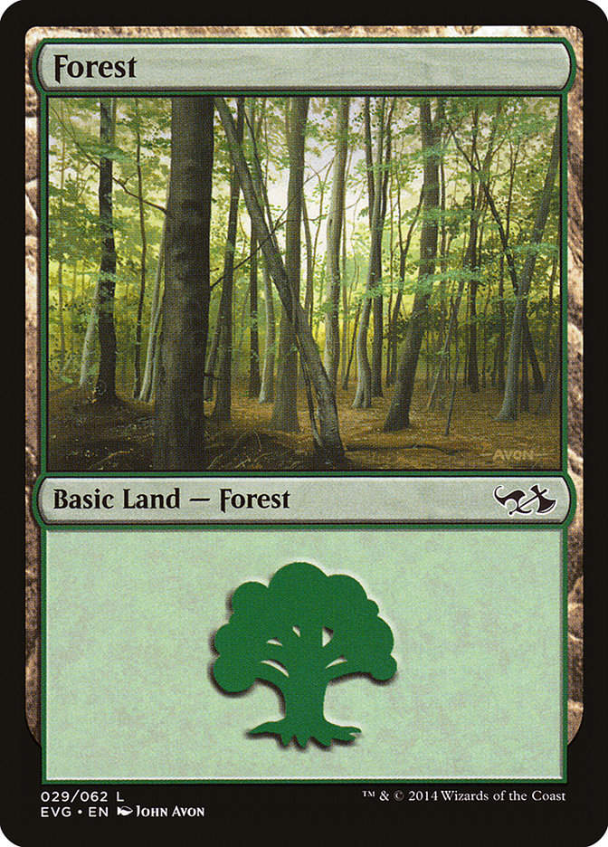 Forest (EVG) (29)