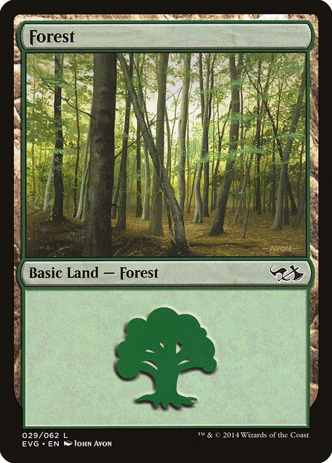 Forest (EVG) (29)