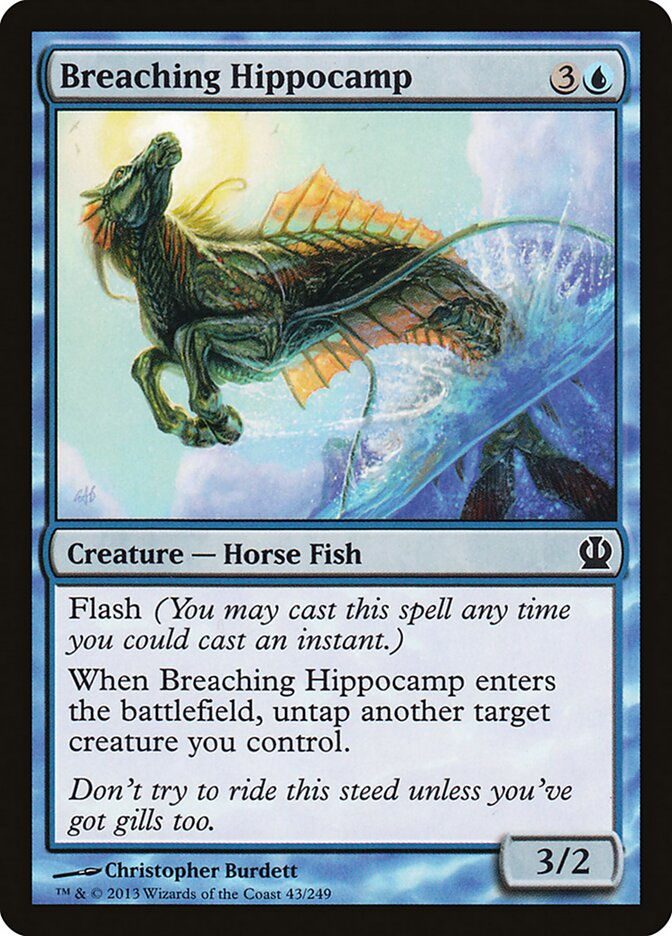 Breaching Hippocamp (THS) (43)