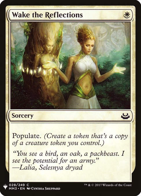Wake the Reflections (PLST) (MM3-28)
