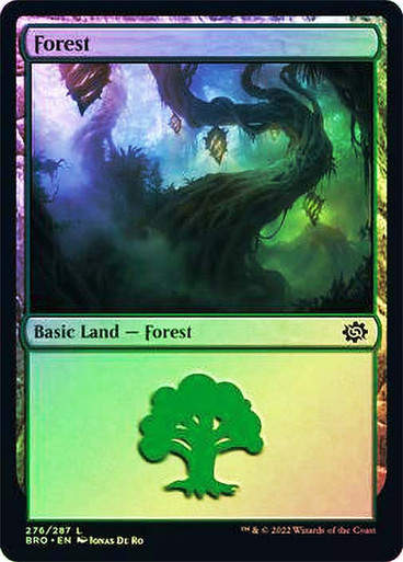 Forest (bro_276) / Foil