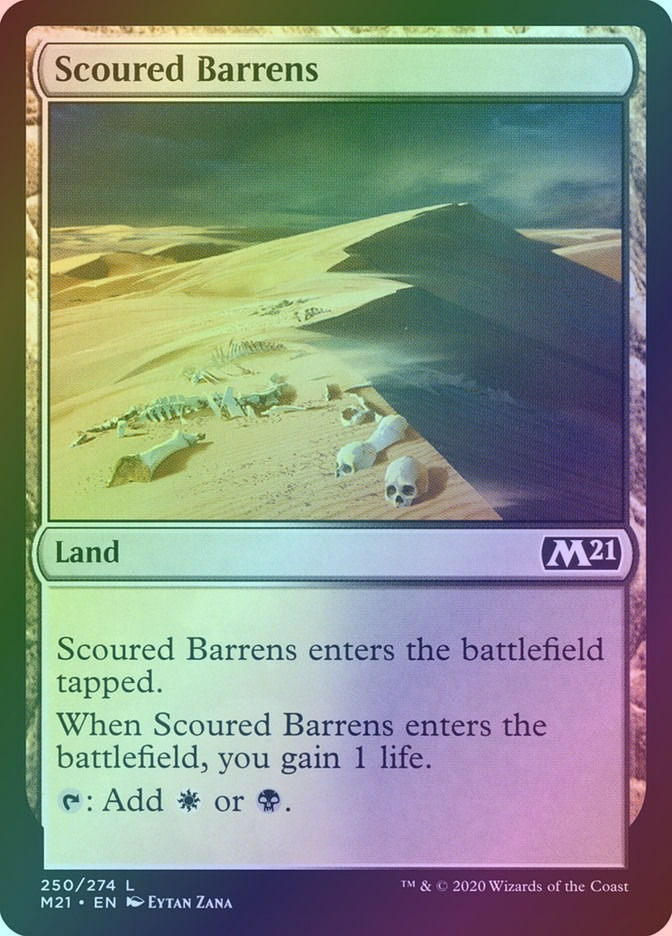 Scoured Barrens (M21) (250) / Foil