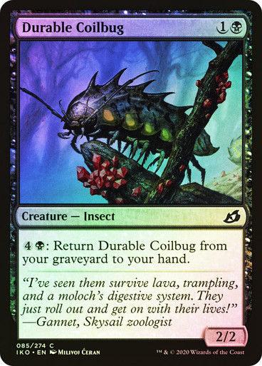 Durable Coilbug (IKO) (85) / Foil