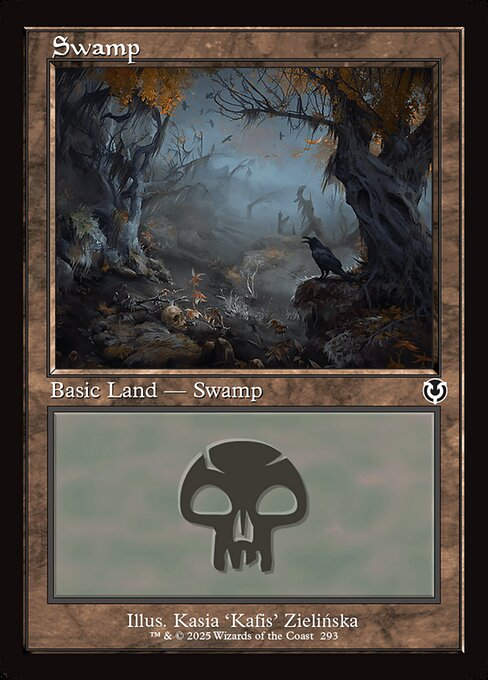 Swamp (INR) (293) / Retro Frame