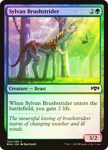 Sylvan Brushstrider (RNA) (144) / Foil