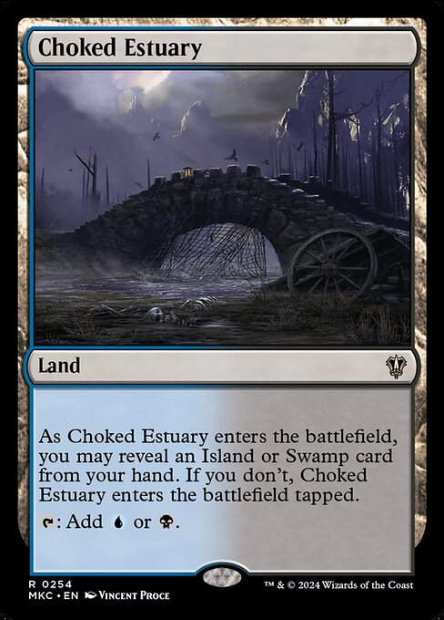 Choked Estuary (mkc) (254)