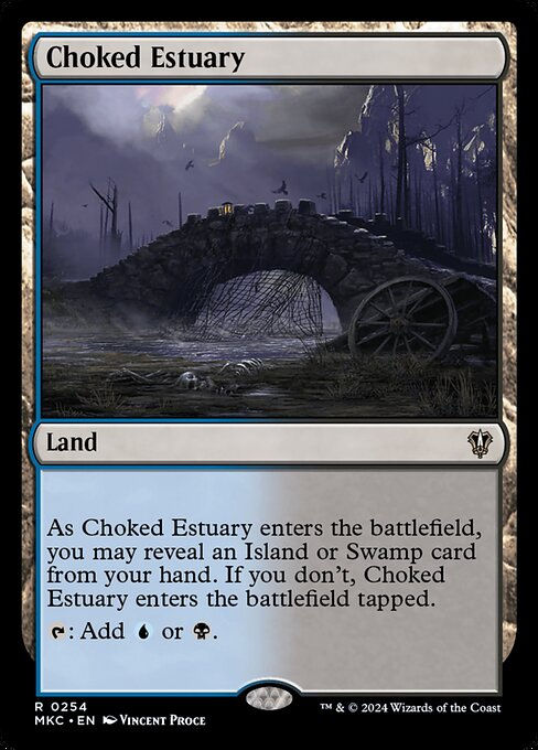 Choked Estuary (mkc) (254)
