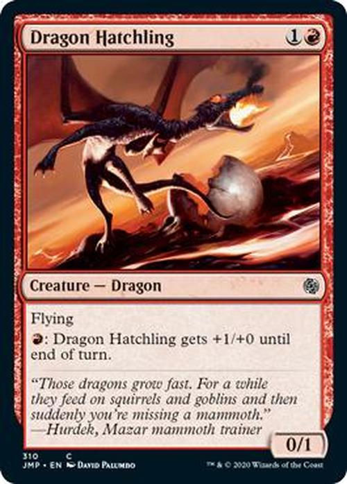 Dragon Hatchling (JMP)