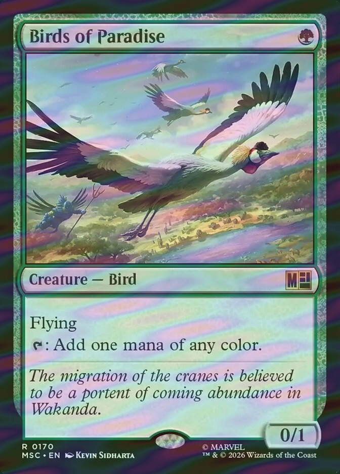 Birds of Paradise (MSC) (170) / Surge Foil