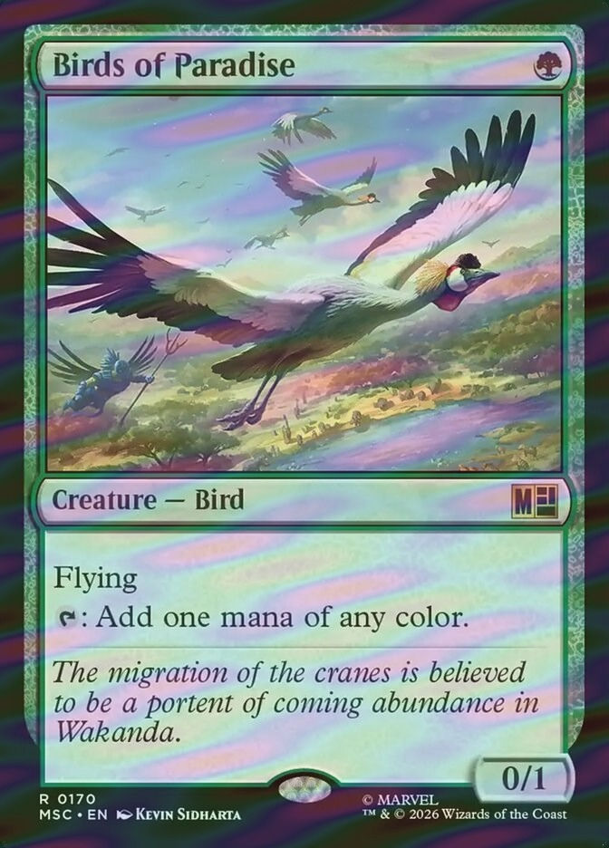 Birds of Paradise (MSC) (170) / Surge Foil