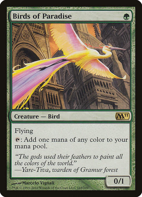 Birds of Paradise (M11)