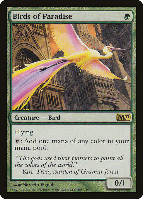 Birds of Paradise (M11)