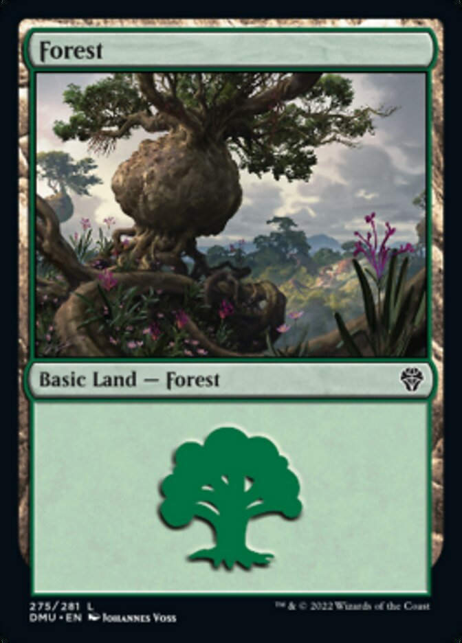Forest (DMU_275)