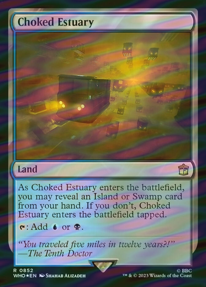 Choked Estuary (WHO) (852) / Surge Foil