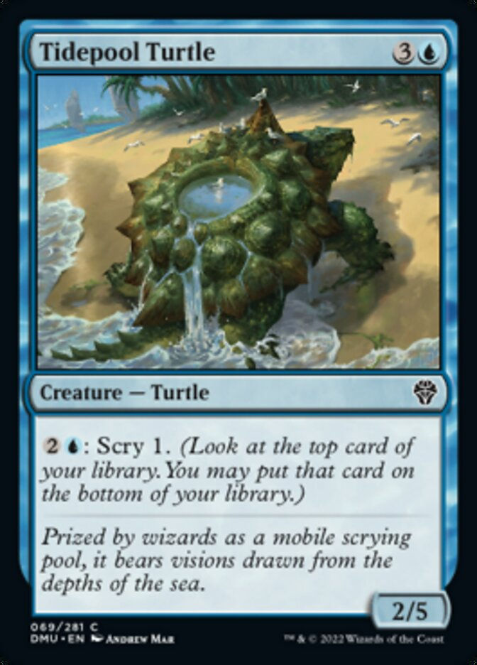 Tidepool Turtle (DMU)