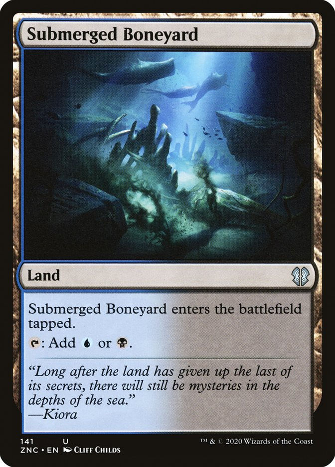 Submerged Boneyard (ZNC) (141)