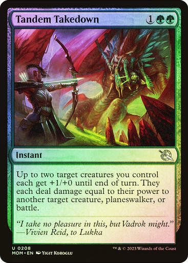 Tandem Takedown (mom) / Foil