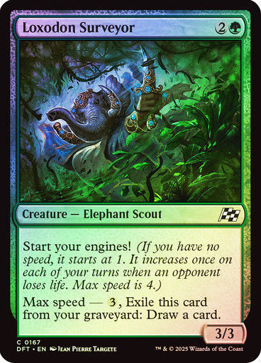 Loxodon Surveyor (DFT) (167) / Foil