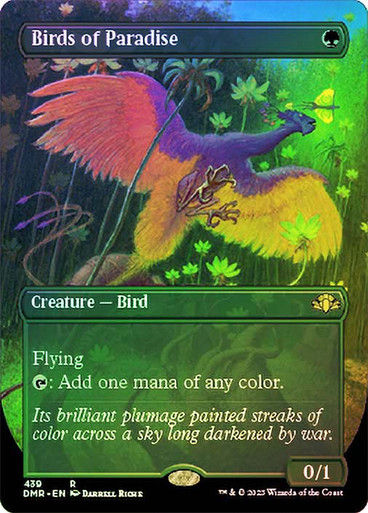 Birds of Paradise (DMR) / Borderless / Foil