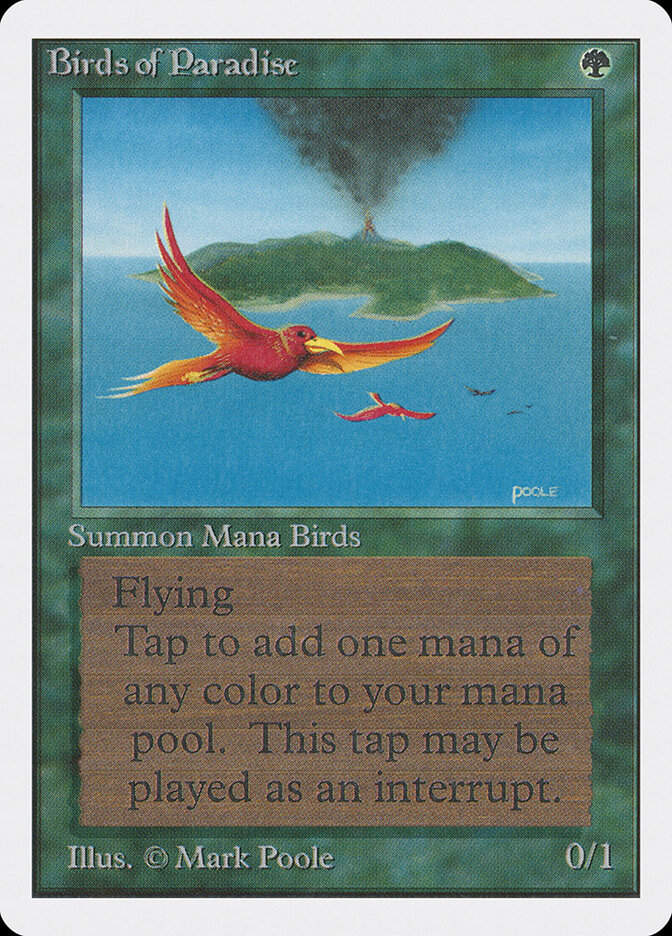 Birds of Paradise (2ED) (187)