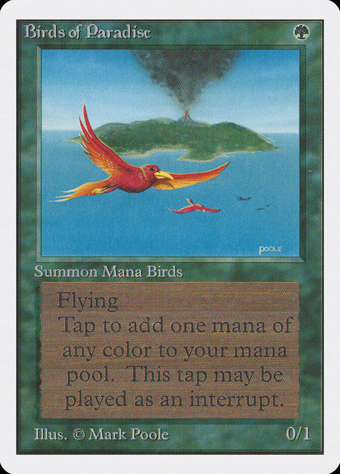 Birds of Paradise (2ED) (187)
