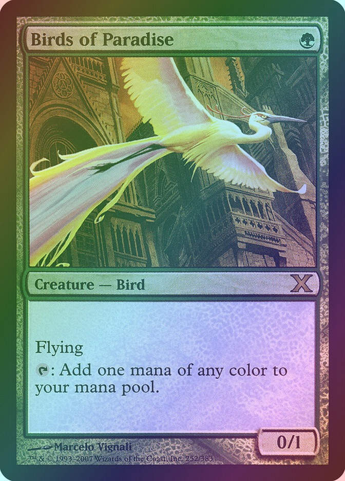 Birds of Paradise (10E) (252★) / Foil