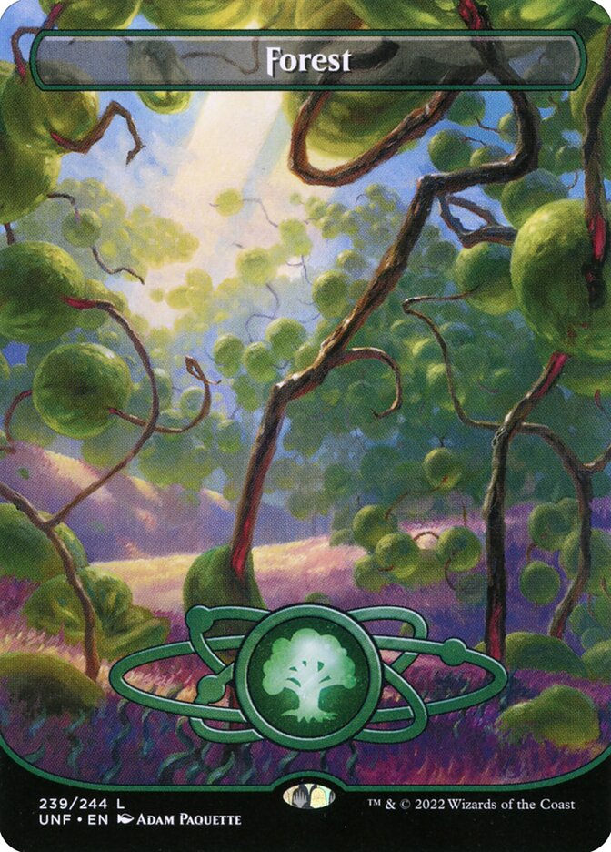 Forest (UNF) (239) / Borderless