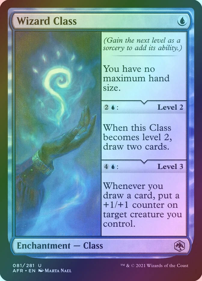 Wizard Class (AFR) (81) / Foil
