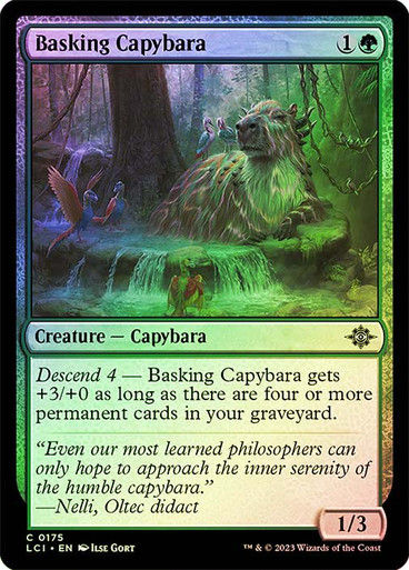 Basking Capybara (lci) / Foil