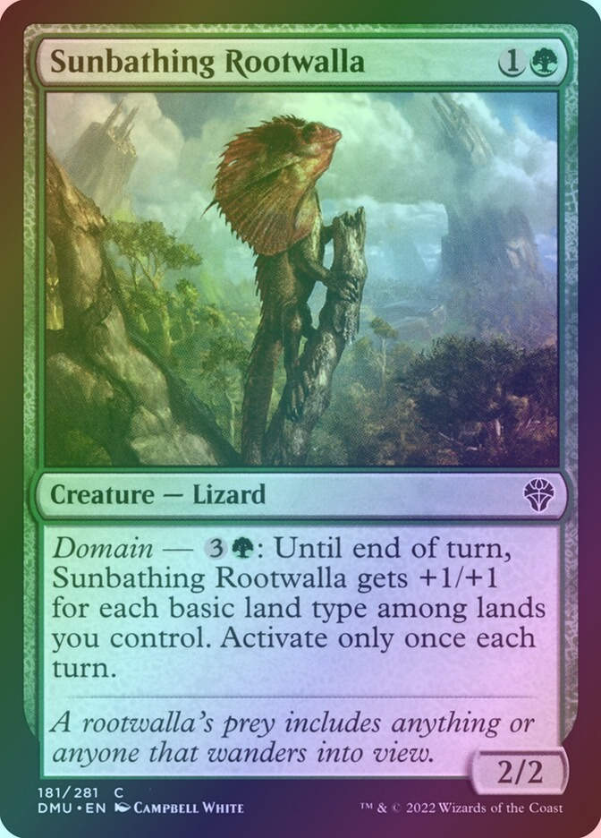 Sunbathing Rootwalla (DMU) (181) / Foil