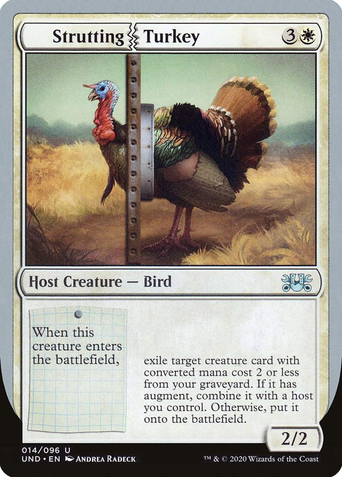 Strutting Turkey (UND) (14)
