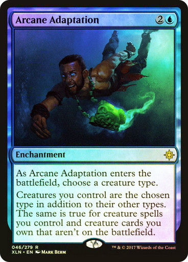Arcane Adaptation (XLN) (46) / Foil
