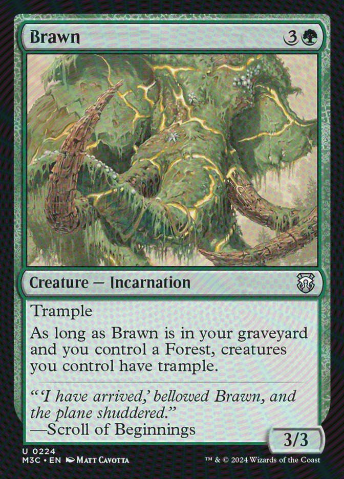 Brawn (M3C) (224) / Ripple Foil