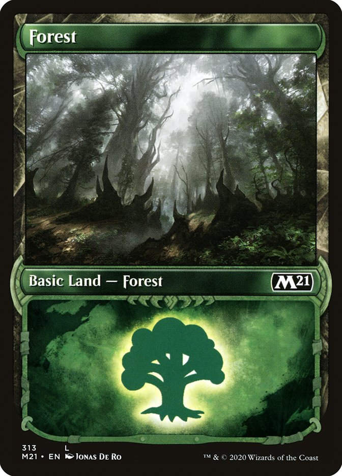 Forest (M21) (313) / Showcase