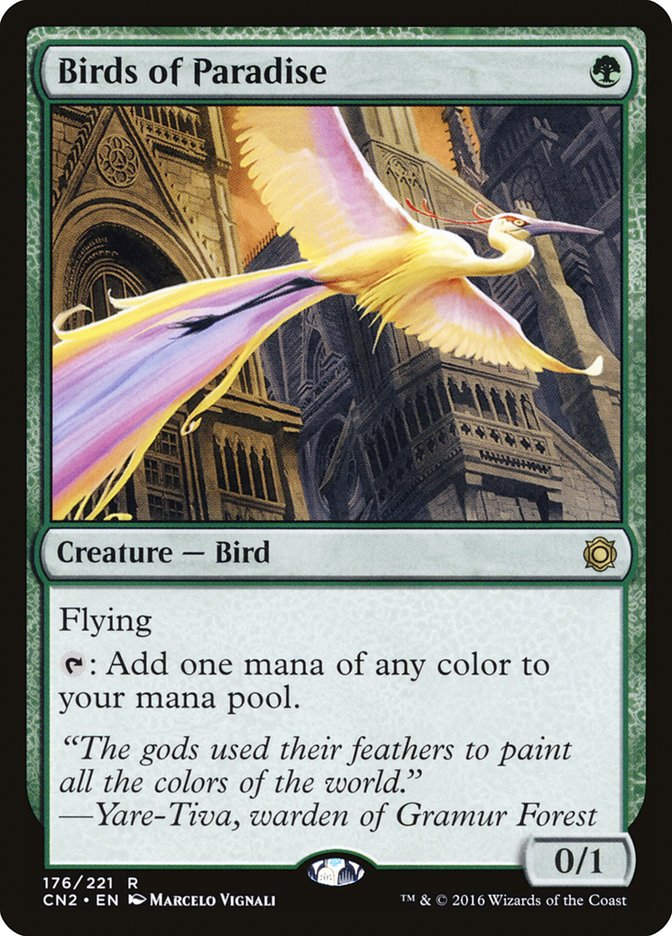 Birds of Paradise (cn2)