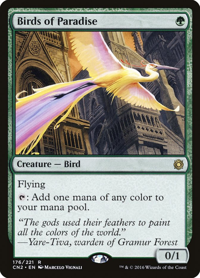 Birds of Paradise (cn2)