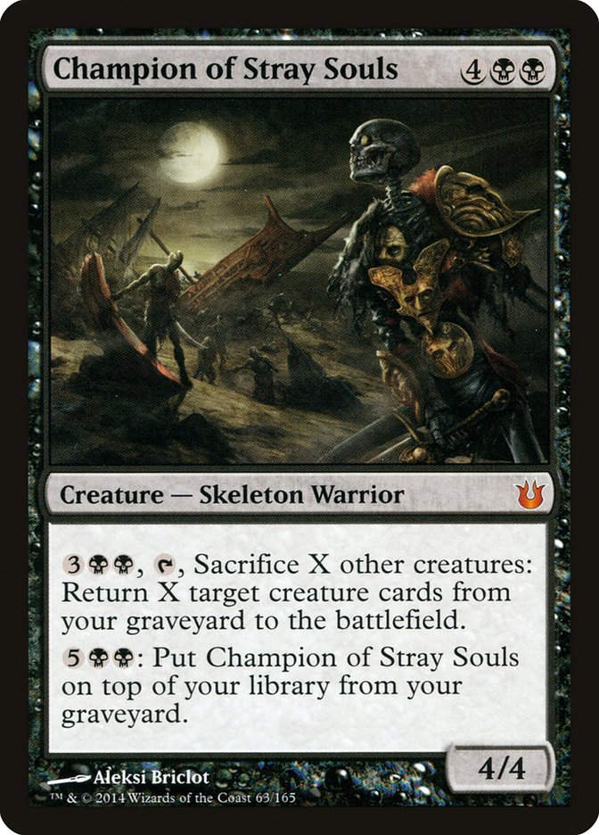 Champion of Stray Souls (BNG) (63)