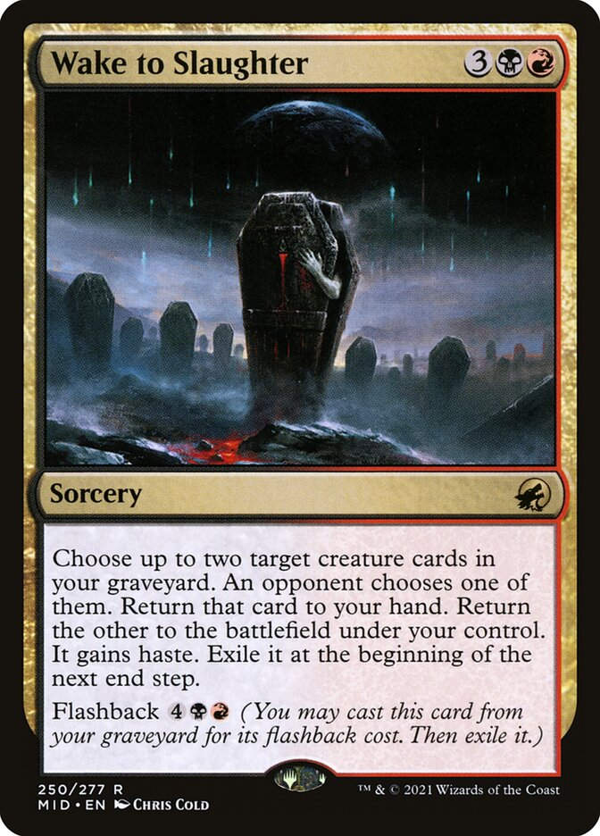 Wake to Slaughter (MID) (250)