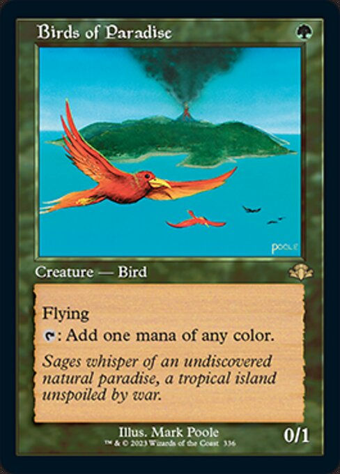 Birds of Paradise (DMR) / Showcase